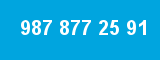 987 877 25 91 987 877 25 91